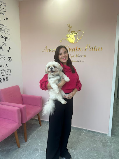 Amor de Quatro Patas - Veterinária Santo André em Santo André - SP