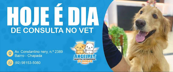 AngelPet Hospital Veterinário 24h em Manaus - AM
