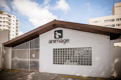 Imagem ilustrativa da empresa Animage Diagnóstico Veterinário por Imagem em São José dos Campos - SP