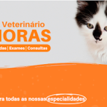 Imagem ilustrativa da empresa Animais-DF | Hospital Veterinário em Brasília - DF