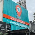 Imagem ilustrativa da empresa Animal Clinic - Veterinário em São Gonçalo - RJ