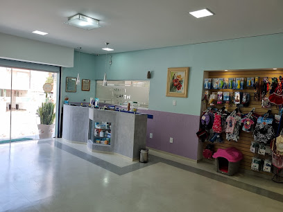ANIMAL HEALTH Clínica VETERINÁRIA em Santo André - SP