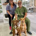 Imagem ilustrativa da empresa Animaleme Clínica Veterinária 24 horas em Rio de Janeiro - RJ