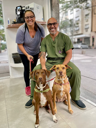 Animaleme Clínica Veterinária 24 horas em Rio de Janeiro - RJ