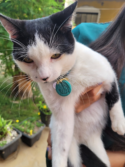 APCS Vet | Reabilitação Animal - Veterinário em Brasília - DF