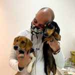 Imagem ilustrativa da empresa Atendimento Veterinário em domicílio - Dr. Guilherme Benckenstein em Rio de Janeiro - RJ