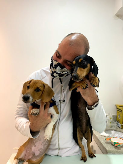Atendimento Veterinário em domicílio - Dr. Guilherme Benckenstein em Rio de Janeiro - RJ