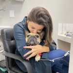 Imagem ilustrativa da empresa AtenVet Clínica Veterinária em Brasília - DF