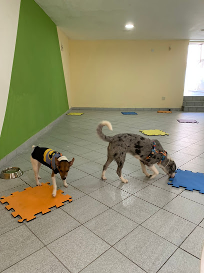Bem Estar Animal Medicina Veterinária Integrativa em Rio de Janeiro - RJ