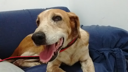 BEVET Brasil Especialidades Veterinária em São José dos Campos - SP