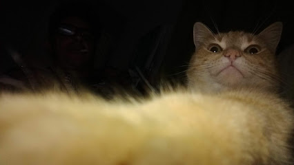 Bicho Amigo - Veterinário em São José dos Campos - SP