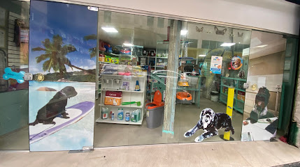 Bicho Bão - Clínica Veterinária em Rio de Janeiro - RJ