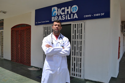 Bicho Brasília - Especialidades Veterinárias em Brasília - DF