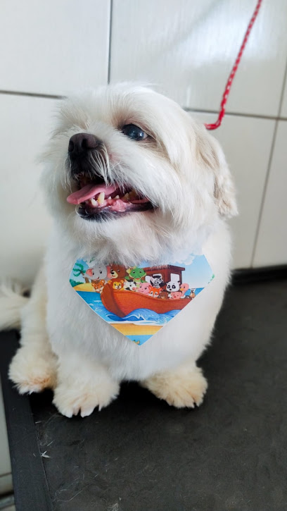 Bicho Feliz - Veterinário em Santo André - SP
