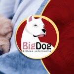 Imagem ilustrativa da empresa Big Dog Clínica Veterinária - Lago Sul em Brasília - DF