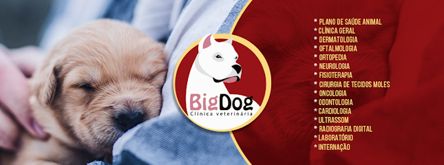 Big Dog Clínica Veterinária - Lago Sul em Brasília - DF