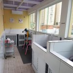Imagem ilustrativa da empresa Cani & Gatti Clínica Veterinária em Santo André - SP