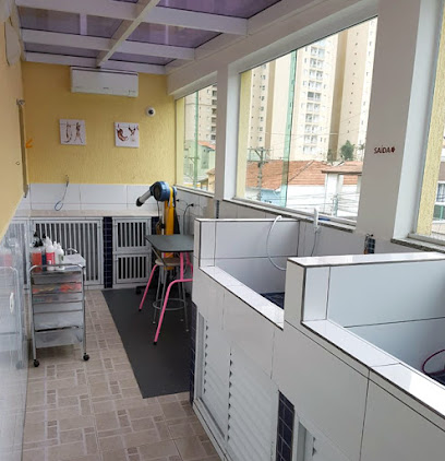 Cani & Gatti Clínica Veterinária em Santo André - SP