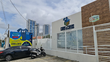Canis & Catus - Veterinário em Natal - RN