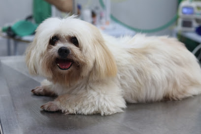 Care Pet Clínica Veterinária em João Pessoa - PB