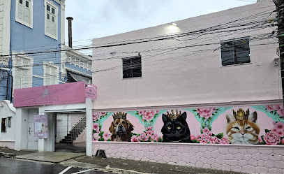 Castelinho Pet Shop e Clínica Veterinária em Manaus - AM