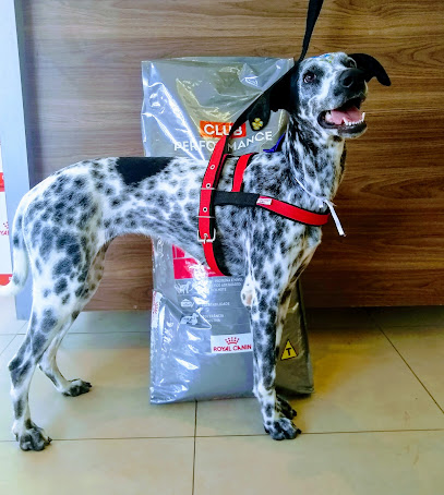 CENTER PET Consultório veterinário & Pet Shop em Uberlândia - MG