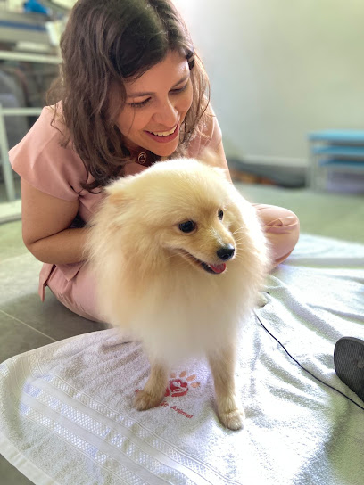 Centro de Reabilitação Animal Dra. Flora Brito - Veterinário em Natal - RN