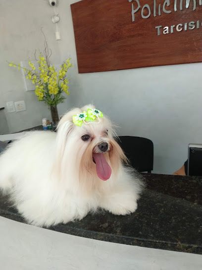 Centro Veterinário de Natal em Natal - RN