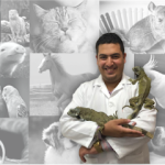 Imagem ilustrativa da empresa Centro Veterinário Dr. Gleycon de Camargo - Santo André - SP em Santo André - SP