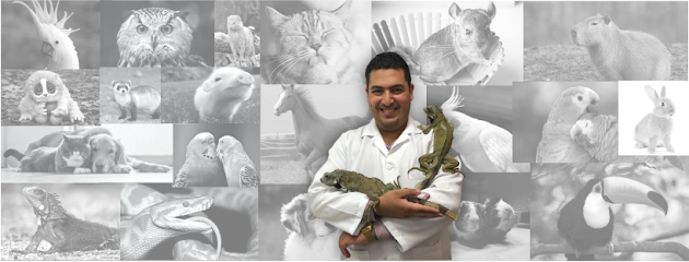 Centro Veterinário Dr. Gleycon de Camargo - Santo André - SP em Santo André - SP