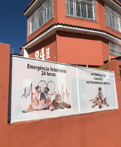 Imagem ilustrativa da empresa Centro Veterinário Iraja em Rio de Janeiro - RJ