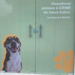 Imagem ilustrativa da empresa Cia do Vira-lata Centro Veterinário em Manaus - AM