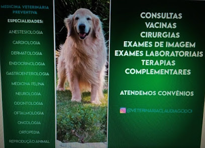 Claudia Godoi Serviços Veterinários - CGSV em Brasília - DF