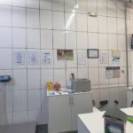 Imagem ilustrativa da empresa Climeve centro médico veterinário em Santo André - SP