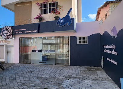 Clínica Amiga do Gato - Veterinário em Natal - RN
