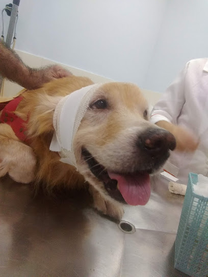Clínica de medicina veterinária zona norte em Rio de Janeiro - RJ