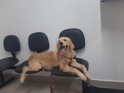 Clínica Escola de Medicina Veterinária UNINASSAU João Pessoa em João Pessoa - PB