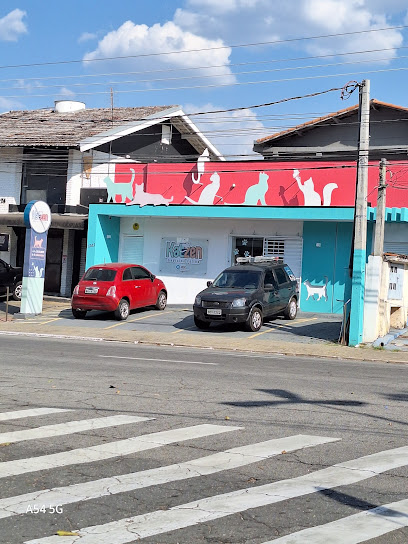 Clínica Katzen - Medicina Felina - Veterinário em São José dos Campos - SP