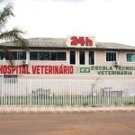 Imagem ilustrativa da empresa Clínica Veterinária 24h Miau.Cão em Brasília - DF