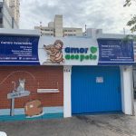 Imagem ilustrativa da empresa Clínica Veterinária Amor aos Pets em Santo André - SP