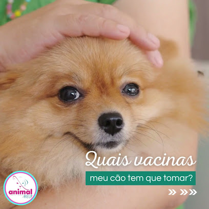 Clínica Veterinária Animal Help -Manaus - Pet Shop em Manaus - AM