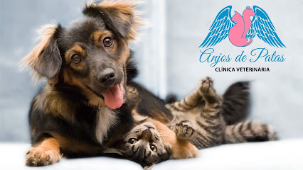 Clínica Veterinária Anjos de Patas em Rio de Janeiro - RJ