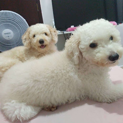 Clínica Veterinária Anjos de Pelo em Natal - RN