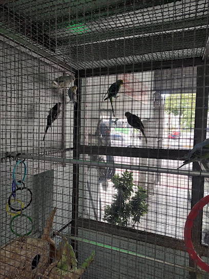 Clínica Veterinária Arca de Noé em Manaus - AM