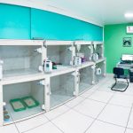 Imagem ilustrativa da empresa Clínica Veterinária ARENA em Rio de Janeiro - RJ