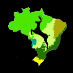 Imagem ilustrativa da empresa Clínica Veterinária Bioma em Santo André - SP
