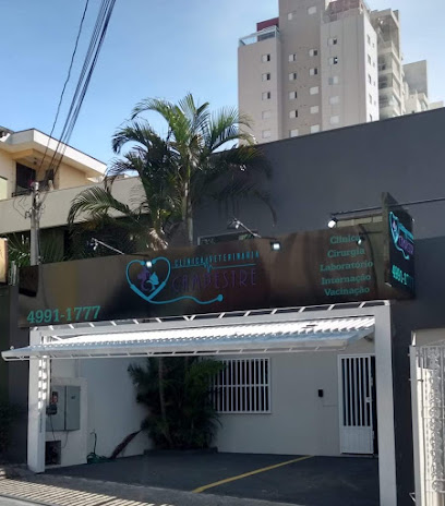 Clínica Veterinária Campestre em Santo André - SP