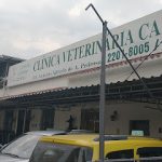 Imagem ilustrativa da empresa Clínica Veterinária Caniche em Rio de Janeiro - RJ
