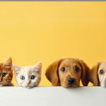 Imagem ilustrativa da empresa Clínica Veterinária Cidade Jardim em São José dos Campos - SP