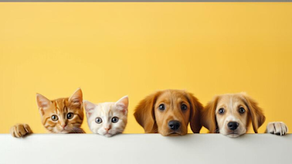 Clínica Veterinária Cidade Jardim em São José dos Campos - SP
